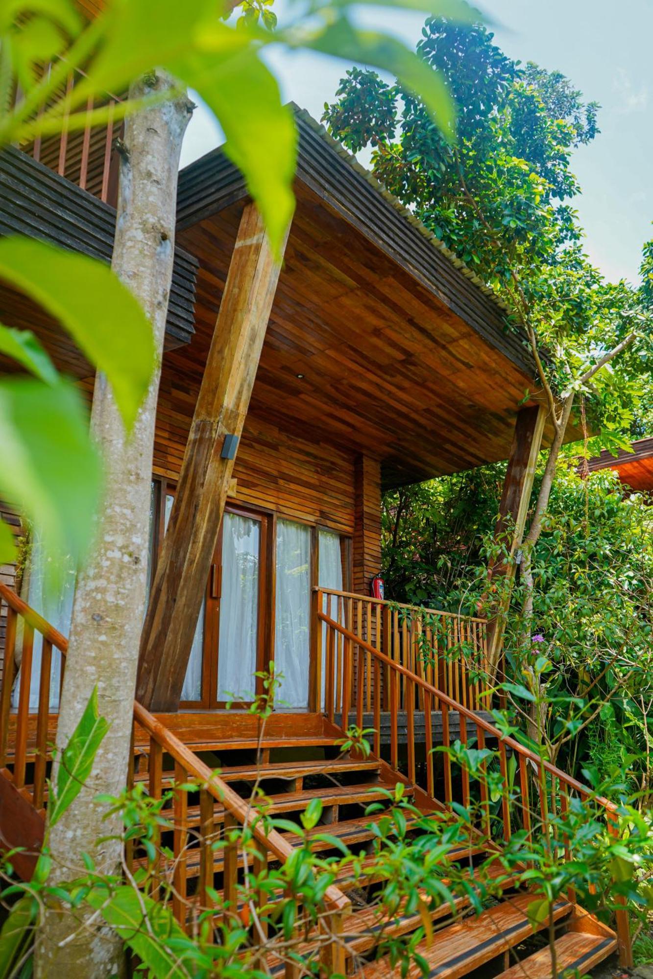De Foret Elephant Beach Εξωτερικό φωτογραφία