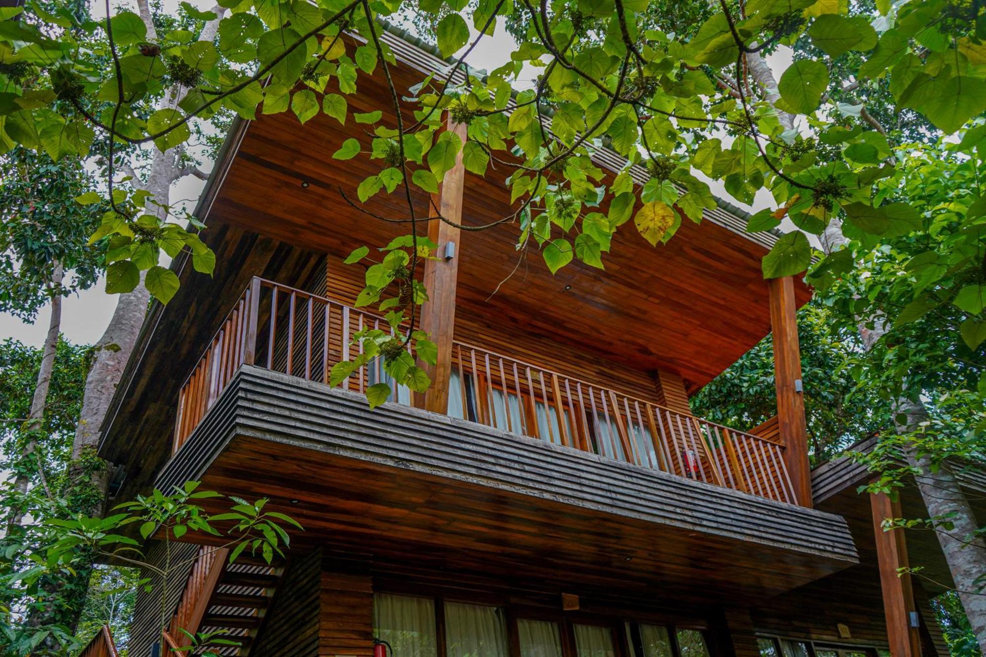 De Foret Elephant Beach Εξωτερικό φωτογραφία