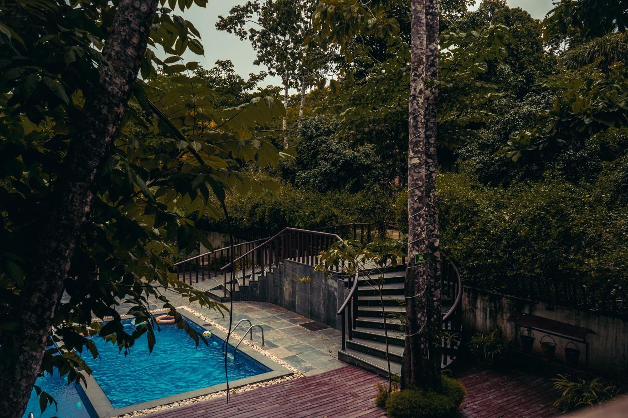 De Foret Elephant Beach Εξωτερικό φωτογραφία