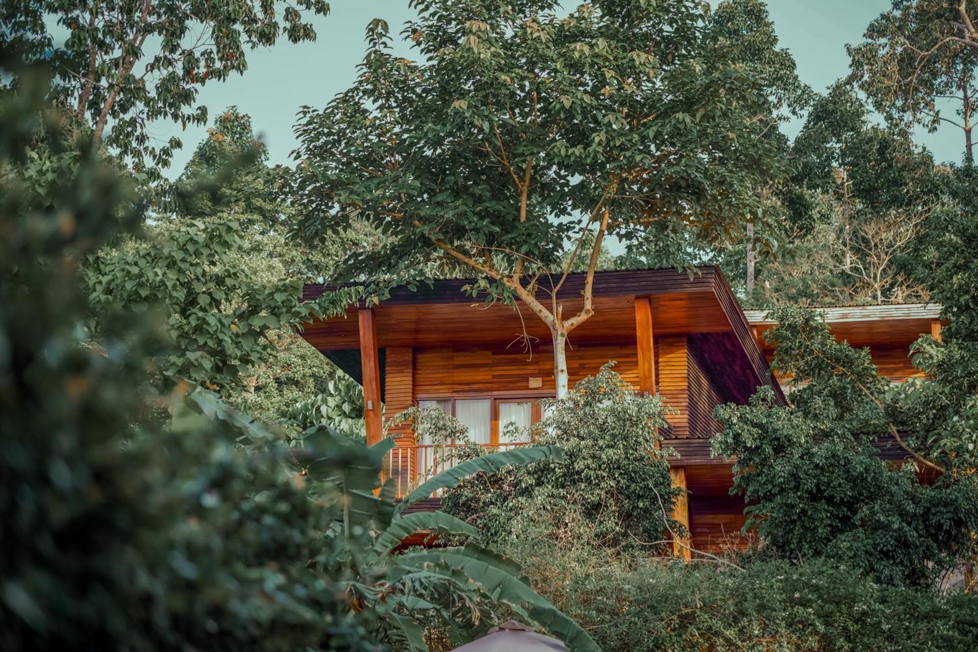 De Foret Elephant Beach Εξωτερικό φωτογραφία