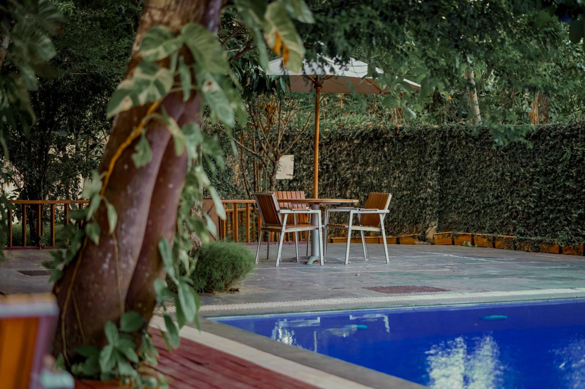 De Foret Elephant Beach Εξωτερικό φωτογραφία