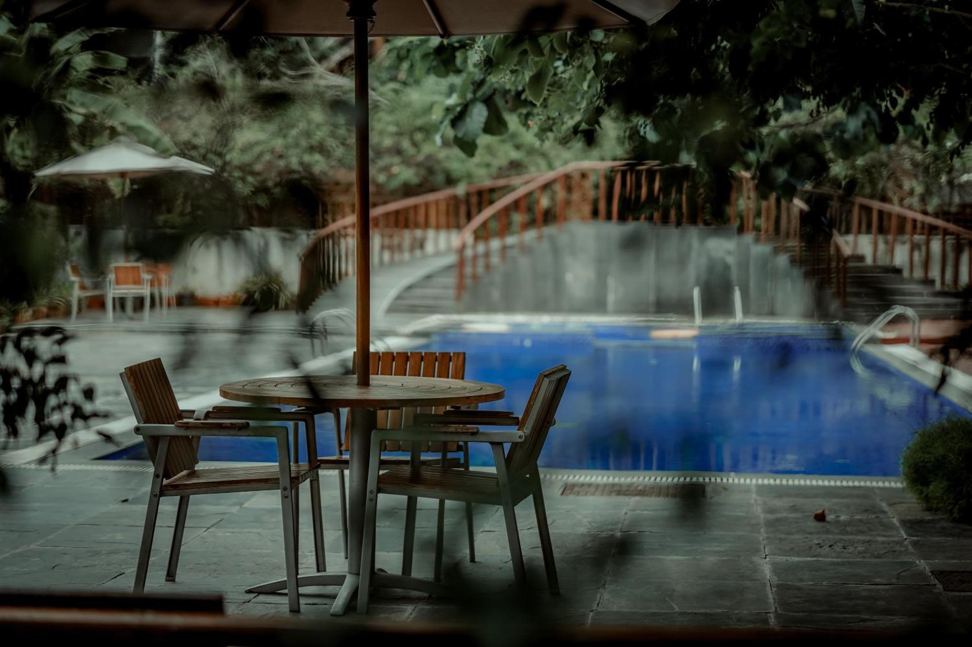 De Foret Elephant Beach Εξωτερικό φωτογραφία