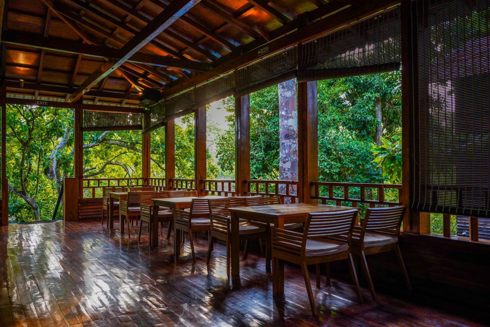 De Foret Elephant Beach Εξωτερικό φωτογραφία